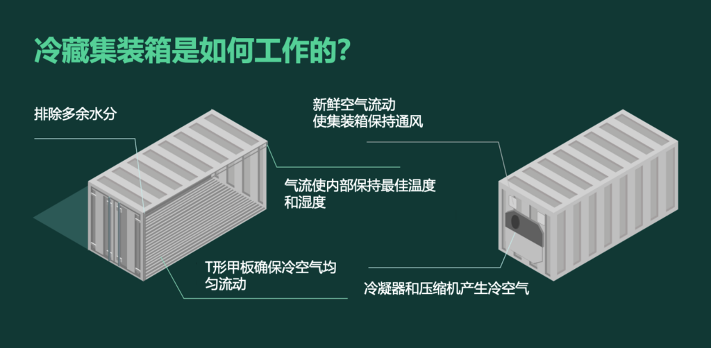 集裝箱冷柜如何運作？冷藏集裝箱工作原理 冷凍柜制冷原理